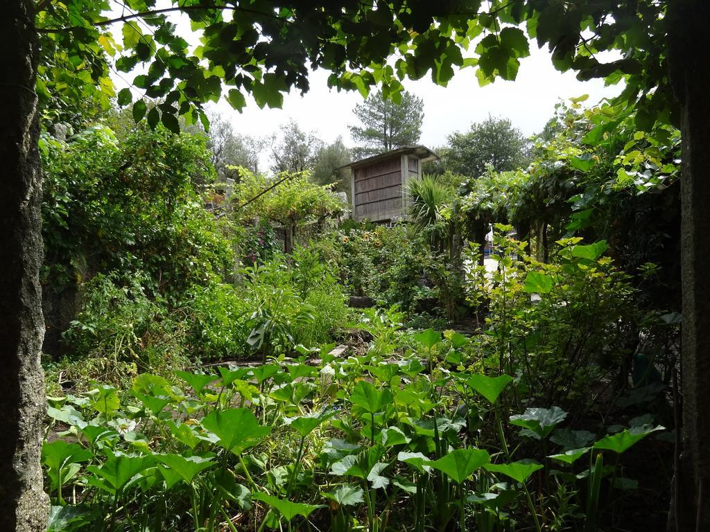 Quinta Das Delicias São Tiaguinho Exterior foto